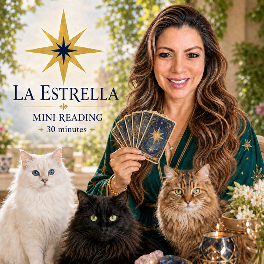 Mini Tarot Reading 30 minutes